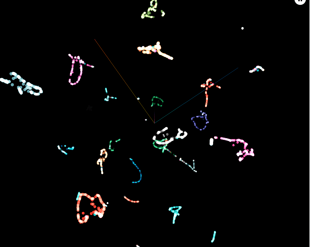 EfficientNetB5 embedding space